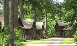 Pack Forest cabins